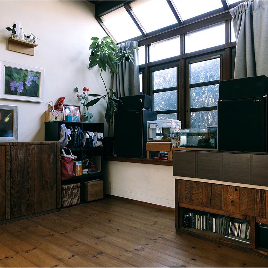 光を取り込む窓が随所に